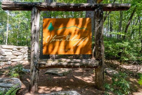 207 Utana Bluffs Trail Ellijay GA 30540