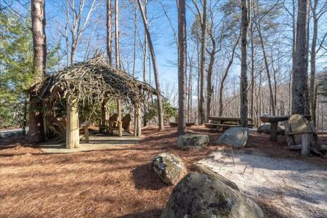 207 Utana Bluffs Trail Ellijay GA 30540
