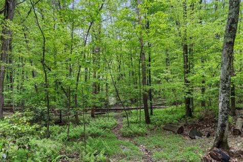 987 Cherry Lake Drive Blue Ridge GA 30513