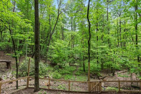 987 Cherry Lake Drive Blue Ridge GA 30513
