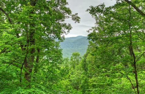 415 Walnut Mountain Road Ellijay GA 30536