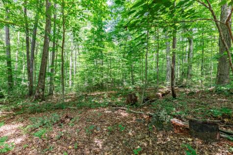 2874 Hickory Cove Lane Hiawassee GA 30546