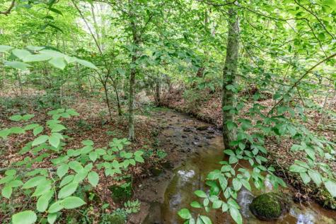 2874 Hickory Cove Lane Hiawassee GA 30546
