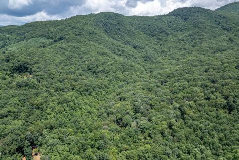 2874 Hickory Cove Lane Hiawassee GA 30546