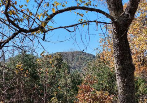 154 Kiloran Way Blairsville GA 30512