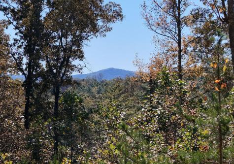 154 Kiloran Way Blairsville GA 30512