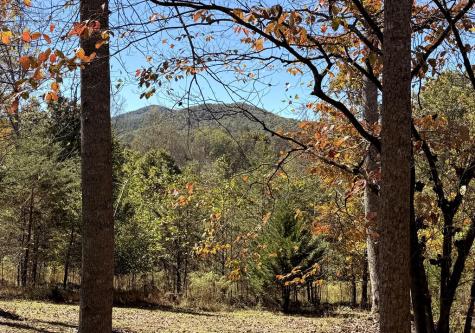 154 Kiloran Way Blairsville GA 30512