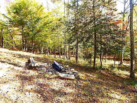 533 Mangums Trail Blue Ridge GA 30513