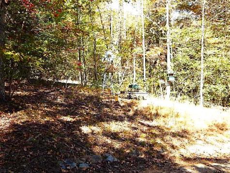 533 Mangums Trail Blue Ridge GA 30513