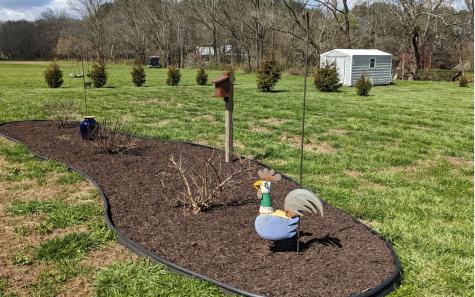 266 Mcglamery Farm Drive Hayesville NC 28904