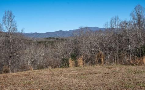 410 Blair Creek Ridge Hayesville NC 28904