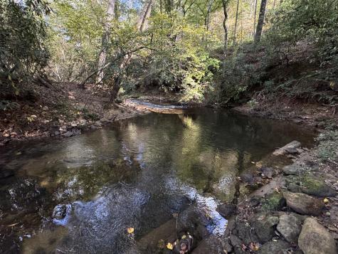 4300 Lickskillet Road Blue Ridge GA 30513