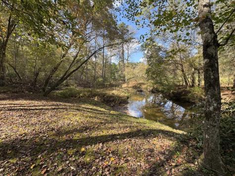4300 Lickskillet Road Blue Ridge GA 30513