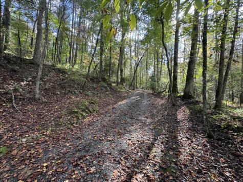 4300 Lickskillet Road Blue Ridge GA 30513