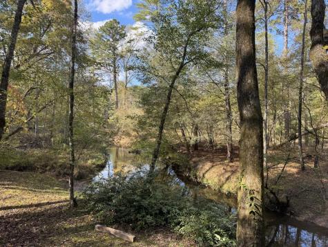 4300 Lickskillet Road Blue Ridge GA 30513