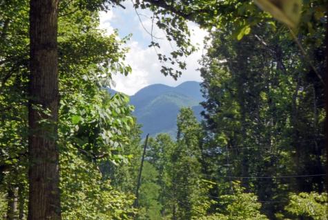 66 Patterson Lane Hayesville NC 28904