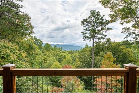 330 Choctaw Ridge Blue Ridge GA 30513
