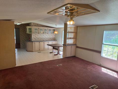 1131 Ada Street Blue Ridge GA 30313