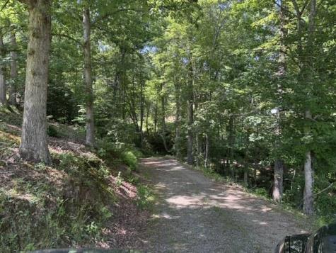 1131 Ada Street Blue Ridge GA 30313