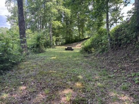1131 Ada Street Blue Ridge GA 30313