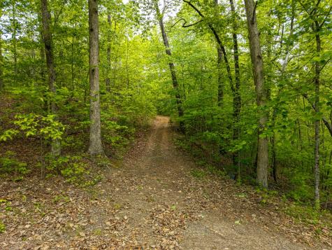 445 Tranquil Cove Murphy NC 28906