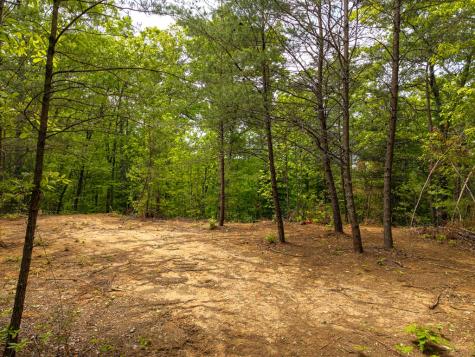 445 Tranquil Cove Murphy NC 28906