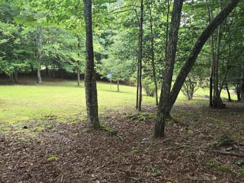 64 Green Oak Road Warne NC 28909