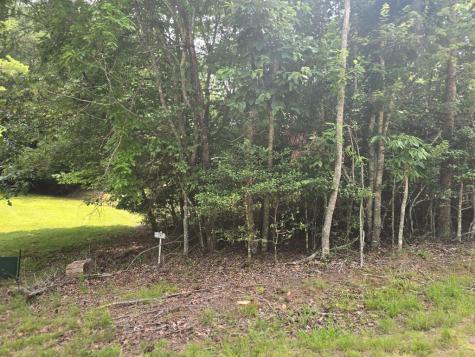 64 Green Oak Road Warne NC 28909