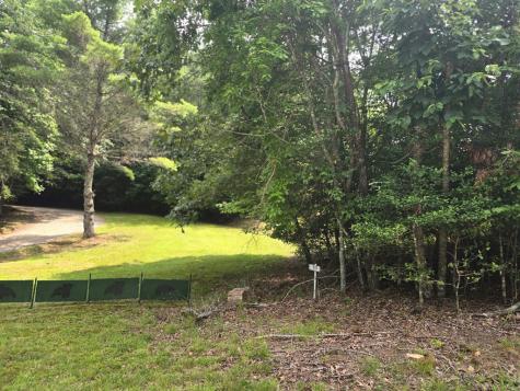 64 Green Oak Road Warne NC 28909