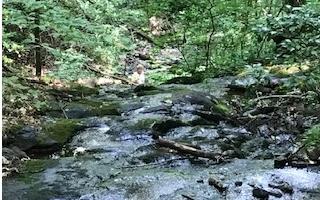 358 Tusquittee View Drive Hayesville NC 28904