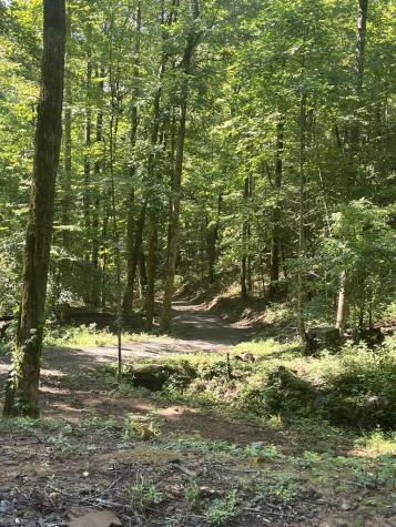 358 Tusquittee View Drive Hayesville NC 28904