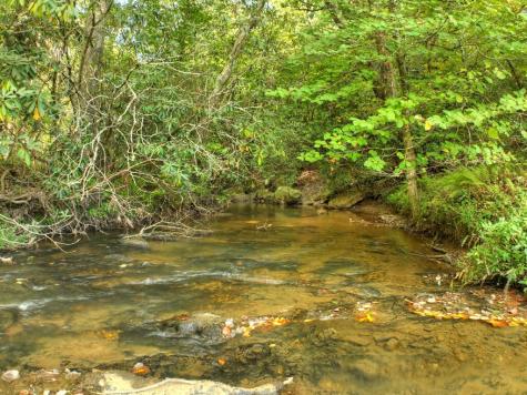 390 Twin Creeks Road Blue Ridge GA 30513