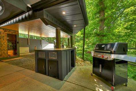 115 Pine Cone Road Blue Ridge GA 30513
