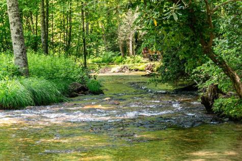 77 Old Covered Bridge Road Cherry Log GA 30522