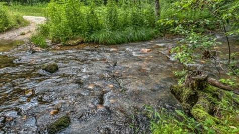 77 Old Covered Bridge Road Cherry Log GA 30522
