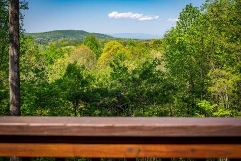 194 Squirrel Chase Drive Morganton GA 30560