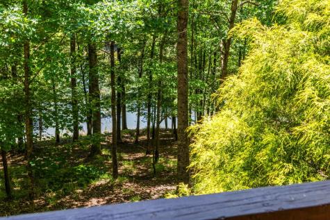 85 Misty Hollow Ridge Ellijay GA 30536