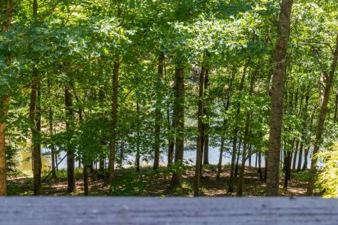 85 Misty Hollow Ridge Ellijay GA 30536