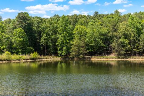 85 Misty Hollow Ridge Ellijay GA 30536