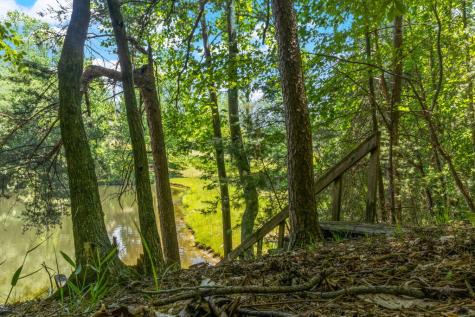 85 Misty Hollow Ridge Ellijay GA 30536