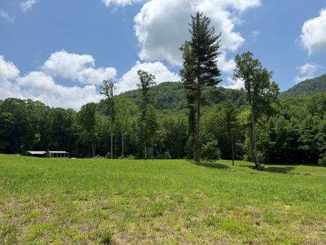 1446 Muskrat Creek Road Hayesville NC 28904