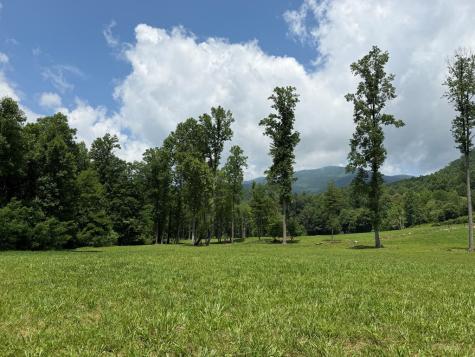1446 Muskrat Creek Road Hayesville NC 28904