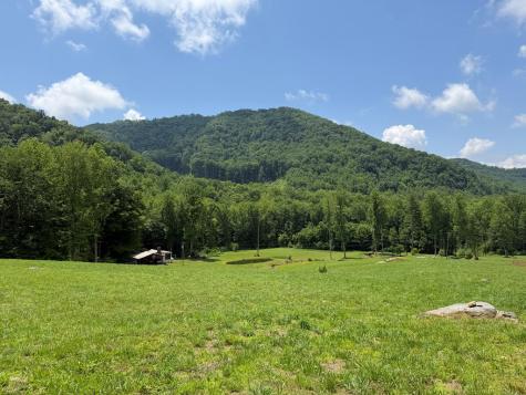 1446 Muskrat Creek Road Hayesville NC 28904
