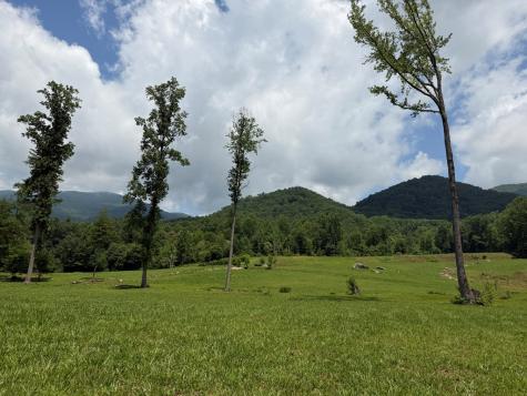 1446 Muskrat Creek Road Hayesville NC 28904