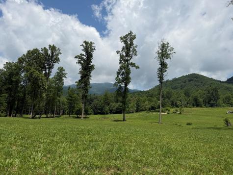1446 Muskrat Creek Road Hayesville NC 28904