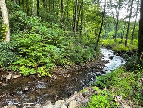 1446 Muskrat Creek Road Hayesville NC 28904