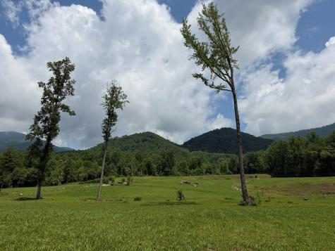 1446 Muskrat Creek Road Hayesville NC 28904