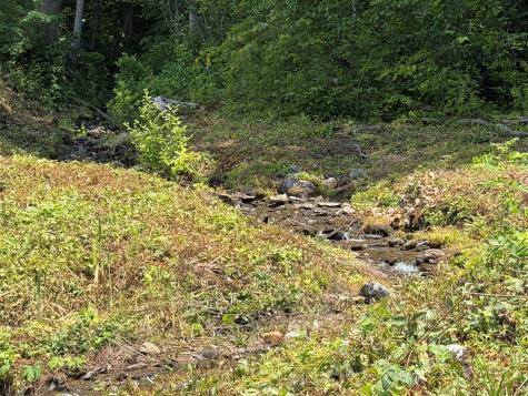 1446 Muskrat Creek Road Hayesville NC 28904