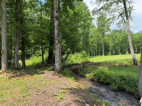 1446 Muskrat Creek Road Hayesville NC 28904