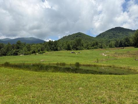 1446 Muskrat Creek Road Hayesville NC 28904